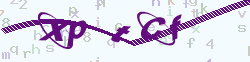 verify_code